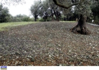 Ξεκινούν οι αιτήσεις για την καταβολή των Κρατικών Οικονομικών Ενισχύσεων