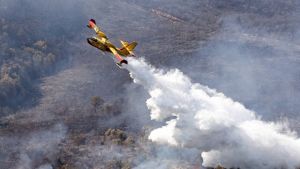 Μεγάλη πυρκαγιά στα ανατολικά της Ρώμης – Απομακρύνονται κάτοικοι (vids)