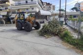 Επέμβαση καθαριότητας για την απομάκρυνση κλαδιών και ογκωδών αντικειμένων
