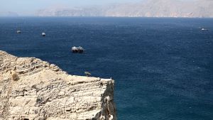 Τηλεδιάσκεψη στο Παρίσι: 30 χώρες ενώνουν δυνάμεις για την ασφάλεια του Ορμούζ