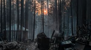 Στο έλεος πελώριων δασικών πυρκαγιών η Καλιφόρνια – Δείτε βίντεο