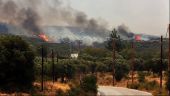 Υπό μερικό έλεγχο η πυρκαγιά στο Καλαμωτό – Συγκέντρωση δυνάμεων στο Πολύκαστρο