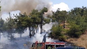 Συναγερμός στον Χορτιάτη: Δασική πυρκαγιά και ενεργοποίηση του 112