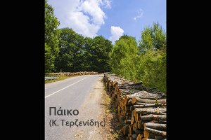 Αποσαφηνίσεις της Πολεοδομίας Κιλκίς για τους δασικούς χάρτες