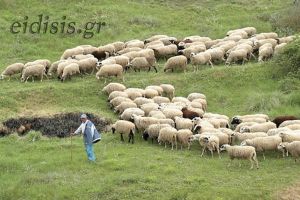 Πανελλαδική συνάντηση κτηνοτρόφων στον Λαγκαδά στις 31/8