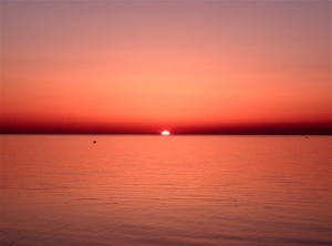 Από το ελπιδοφόρο 2014 στο αγωνιώδες 2015