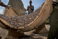 «Εναν αιθιοπικό καφέ, παρακαλώ...»