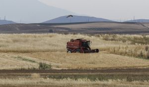 Τρία νέα φορτία δημητριακών αναχώρησαν από την Ουκρανία
