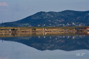 Η μοναδική ομορφιά της Πικρολίμνης με το φακό της Βούλας Τσαγανού