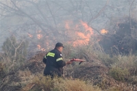 Σε ύφεση η πυρκαγιά ανάμεσα στα Καλύβια και την Ανάβυσσο