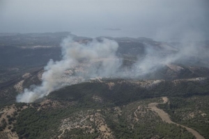 Σε ύφεση τα μέτωπα της πυρκαγιάς στη Θάσο