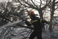 Νομοσχέδιο: Εκτός αναδάσωσης καταπατημένες ή αποψιλωμένες εκτάσεις