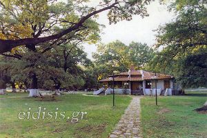 Είναι Μνημείο της Φύσης τα 1000 Δέντρα. Μην μεταβληθούν σε μνημείο αδιαφορίας