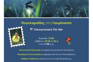 Πυγολαμπίδες στη Γουμένισσα και 9ο Οικογενειακό πικ νικ