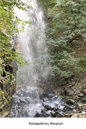 Ενδιαφέρουσα ημερίδα του Δασαρχείου Κιλκίς για τον δασικό πλούτο του ν. Κιλκίς