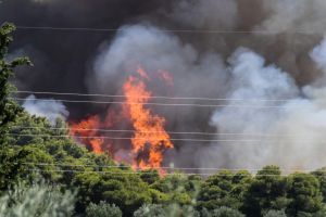 Χαλκιδική: Φωτιά σε χορτολιβαδική έκταση – Καίει κοντά σε σπίτια