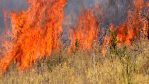 Θέρμη: Φωτιά κοντά σε γηροκομείο