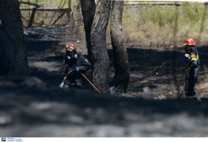 Σε ύφεση η πυρκαγιά στην Ηλεία, μάχη με τις φλόγες σε Ρόδο και Εύβοια