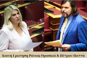 Πέτρος Παππάς: Άλυτα κτιριακά προβλήματα και χρόνιες ελλείψεις στις σχολικές υποδομές υποβαθμίζουν τη δημόσια εκπαίδευση στο νομό Κιλκίς
