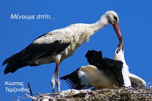 Μένουμε σπίτι, βλέπουμε τα πράγματα αλλιώς...