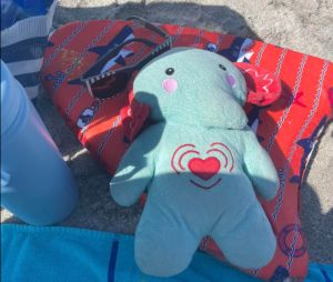 Έκκληση μητέρας μέσω Facebook – Ψάχνει λούτρινο ελεφαντάκι με τις στάχτες του γιου της