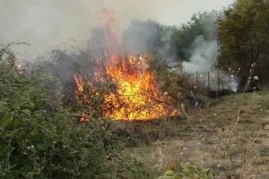 Πυρκαγιά στο δάσος Φανού-Σκρα. Επιχειρεί και ελικόπτερο