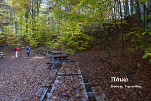 Σιωπηλός περίπατος στο πανέμορφο Πάικο