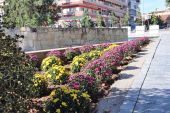 Ανθοφυτεύσεις σε δημόσιους χώρους του Κιλκίς
