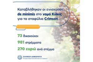 Ξεκίνησε η καταβολή κρατικών ενισχύσεων σταφυλιών ποικιλίας Crimson. 73 δικαιούχοι στο ν. Κιλκίς